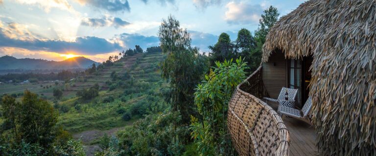 Bisate-Lodges_header