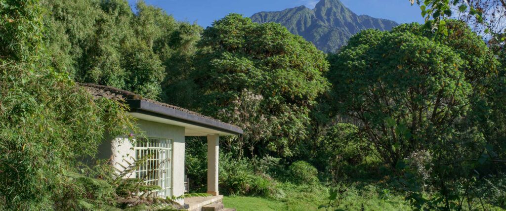 Sabyinyo-Silverback-Lodge_header